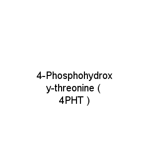 4-Phosphohydroxy-threonine ( 4PHT )